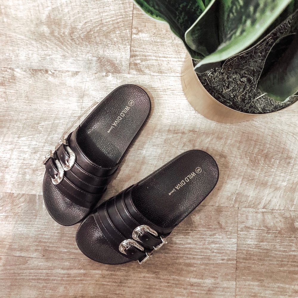 Buckle slides